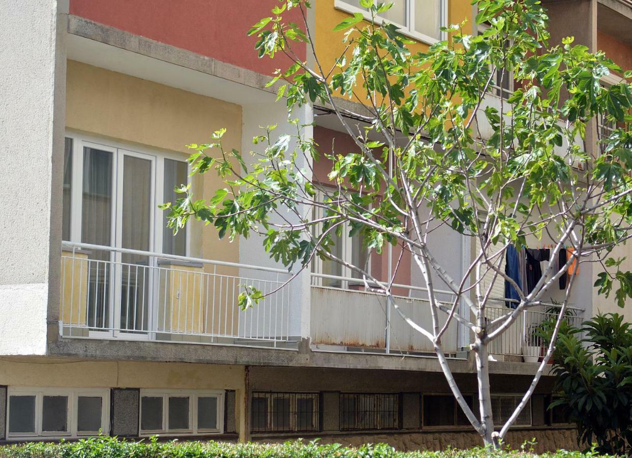 Ms Apartment โอครีด ภายนอก รูปภาพ